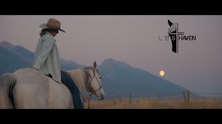 The Calling: A Montana Sanctuary Where Horses Find Hope