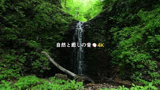 【自然の音】新緑と岩壁から流れ落ちる滝、癒し、睡眠、リラックス、作業用BGM/Water fall/Nature Sounds/ASMR/4K【２時間】