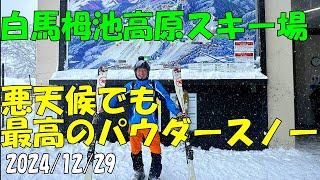 白馬栂池高原スキー場 コースガイド 解説 パウダースノー 悪天候 アクセス 傾斜 積雪 ゴンドラ ハンの木ゲレンデ チャンピオンゲレンデ 行き方 スノボ 長野県小谷村 24/12/29【Gopro】