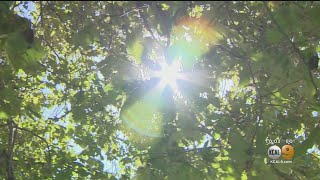 Much Of SoCal Is Under An Excessive Heat Warning That Meteorologists Say Has Yet To Peak