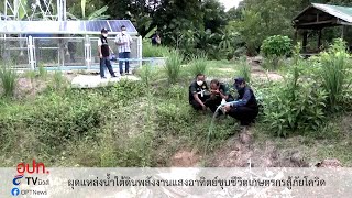 ผุดแหล่งน้ำใต้ดินพลังงานแสงอาทิตย์ชุบชีวิตเกษตรกรสู้ภัยโควิด