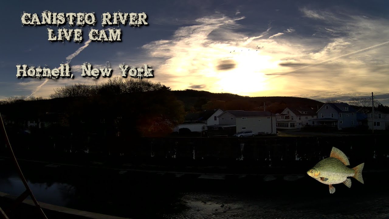 Canisteo River Live Cam 24 7 Hornell New York 11 10 2024 Youtube