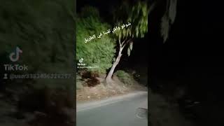 أخطر طريق في الجزائر، رعب حقيقي.