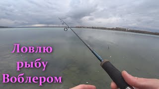 Воблер Pontoon 21 Один из лучших воблеров