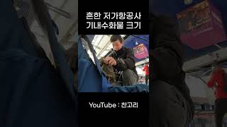 점점 작아지는 것 같은 저가항공 기내 수화물 크기 #shorts