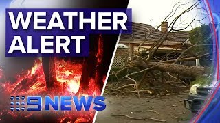 Weather warnings for Sydney, Melbourne, Adelaide | Nine News Australia