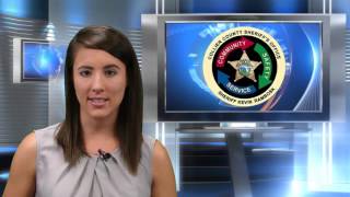 Larimar Webbe Homicide Investigation