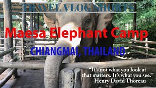 Maesa Elephant Camp (Chiangmai, Thailand) Travel Vlog [HD]