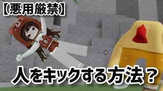 【悪用厳禁】人をキックする方法！！