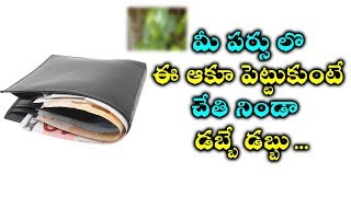 మీ పర్సు లొ ఈ ఆకూ పెట్టుకుంటే చేతి నిండా డబ్బే డబ్బు ...||LAKSHMI KATAKSHAM