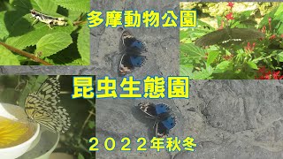 多摩動物公園昆虫生態園２０２２年秋冬