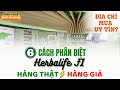 6 Cách Phân Biệt Herbalife F1 Hàng Thật - Hàng Giả. Địa Chỉ Mua Uy Tín, Chính Hãng? | 0587 98.98.98