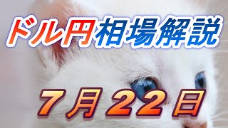 【FX】ドル円為替相場の予想と前日の動きをチャートから解説。日経平均、NYダウ、金チャートも。7月22日