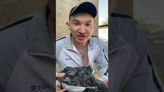 Шәріптің керемет әзілдері😂😂||| Күлмеу мүмкін емес мынаған🤣