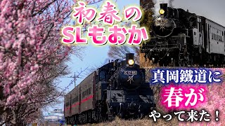 SLもおか 真岡鐵道の春はじまる C1266 一期一会 第73弾 蒸気機関車 汽笛