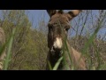 villar san costanzo tra cultura u0026 natura riseva naturale dei ciciu