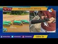 పాపికొండల విహారం.. వెళ్లొద్దాం రండి live papikondalu vihara yatra papikondalu boating 10tv