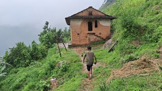 Beautiful Nepali Mountain Village Life | Rainy Day in Hari Rokaya Village | Organic Food Cooking |