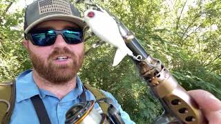 Bass Fishing with Plusinno Eagle Hunting I Fishing Rod and Reel Combos