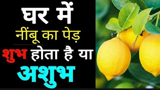 नींबू का पेड़ घर में लगाना शुभ या अशुभ? Know Planting Lemon Tree is good or not?