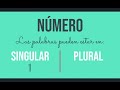 Género y número - 1º