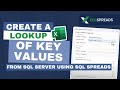 Lesson 3 - Create a Lookup of key values from SQL Server using SQL Spreads