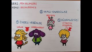 4.SINIF FEN BİLİMLERİ BESİNLERİMİZ