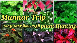 ഞങ്ങൾക്കും കിട്ടി ഒരു പാട് Super plants 😍| super plant hunting | badhus world |