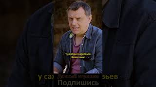 Саженцы: ОБЯЗАТЕЛЬНО ПРОВЕРЬ ЭТО