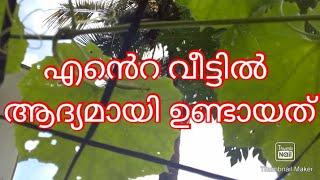 എൻെറ വീട്ടിൽ ആദ്യമായി ഉണ്ടായതാണ്