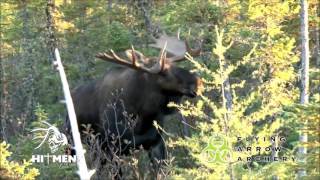 Monster Bull Moose Toxic Shot