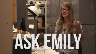 Ask Emily #1