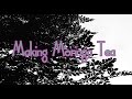 Making Moringa Tea (Crash Gardening S2 mini-episode)