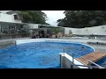 海きらら水族館イルカのプログラム