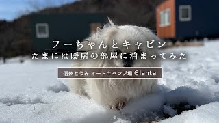 フーちゃんと行く！初めてのトレーラーキャビンに泊まるですよ。東御市にあるキャンプ場グランタで暖房完備のキャビンでぐーたらしてきました！娘ちゃん誕生日