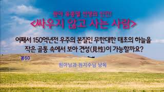 [봄나라] 어째서 150억년전 우주의 본질인 무한대한 태초의 하늘을 작은 골통 속에서 보아 견성(見性)이 가능할까요? : (원아님원지수님낭독)봄60