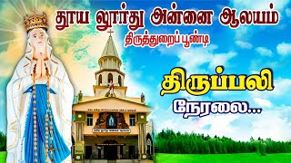 🔴நேரலை 16.12.2023  - சனி திருப்பலி - திருத்துறைப்பூண்டி, தூய லூர்து அன்னை ஆலயம்