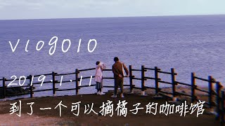 vlog010 到了一个可以摘橘子的咖啡馆