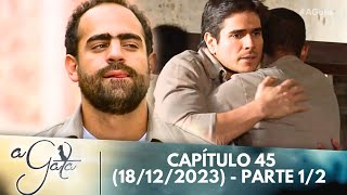 A Gata - Capitulo 45 Parte 1/2 - (18/12/2023) Paulo ganha desafetos e rever Carlos na penitenciária