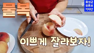 말랑 복숭아 이렇게 자르세요🍑