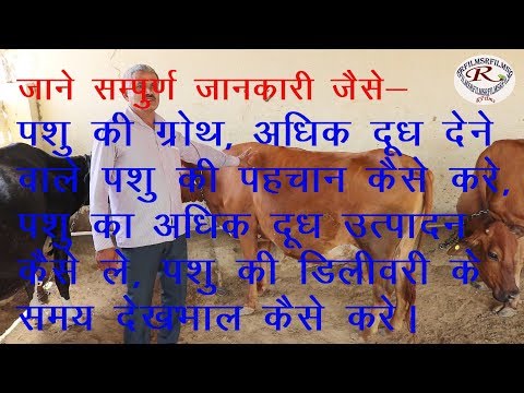 बेस्ट पशु पालक से जाने पूरी जानकारी, Best info from best cattleman बेस्ट पशु पालक से जाने पूरी जानकारी, Best info from best cattleman