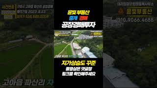 구미공장경매 사이즈좋은 입지좋은 공장