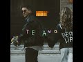 te amo