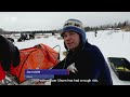 iditarod highlights day 3 qrillpaws 2022