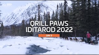 Iditarod Highlights | DAY 3 | QRILLPAWS 2022