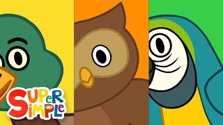 Turn \u0026 Learn ABCs - BIRDS! | ​​🌈 Super Simple ABCs