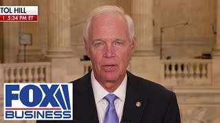 Sen. Ron Johnson: These gangs almost make ISIS look like choir boys