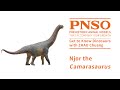 055 Njor the Camarasaurus | The Story of Creating Njor the Camarasaurus