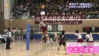 2013春高女子 注目校＆選手