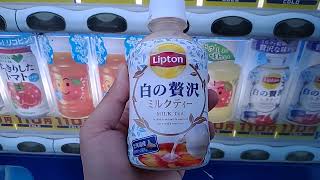 サントリーの自販機でリプトン白の贅沢ミルクティーを購入。